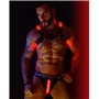 BREEDWELL Red Glow Bulldog Harness