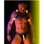 BREEDWELL Yellow Glow Bulldog Harness