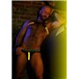 BREEDWELL Yellow Asymmetrical Harness