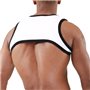 TOF - Harness Deri White