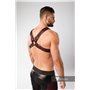 MASKULO - 2 Fronts Chest Harness Red