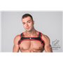 MASKULO - Youngero Y Men's Fetish Bulldog Harness Red