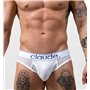 Project Claude Mesh Classic Brief