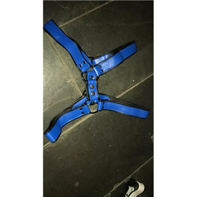 Soho Leather Harness Blue/Black