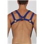 Trident Neoprene Harness Blue