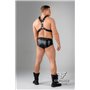 EnForce Waist-high Codpiece Briefs Regular Rear Black