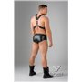 EnForce Waist-high Codpiece Briefs Regular Rear Black