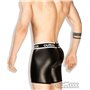 Outtox Mesh Codpiece Elements Shorts Back-Zip Black