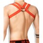 Outtox Bulldog Harness Red