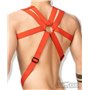 Outtox Bulldog Harness With Cockring Red