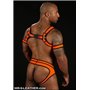 Neo Bold Color Full Access Brief Orange