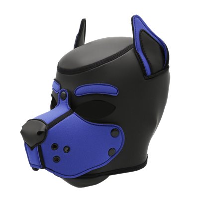 Mr-S Neo K9 Hood: Royal Blue