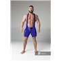 MASKULO - Wrestling Singlet Codpiece Open rear full thigh Pads Royal blue