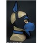 Neo WOOF! Head Harness Cobalt