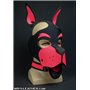 Neo WOOF! Head Harness Pink