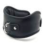 Leather collar posture Pro