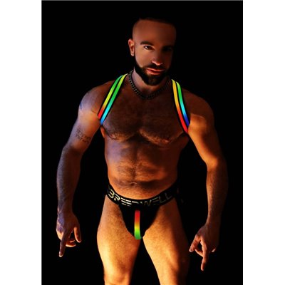 BREEDWELL Rainbow Glow Shoulder Harness