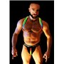 BREEDWELL Rainbow Glow Shoulder Harness