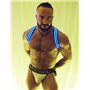 BREEDWELL Blue Glow Shoulder Harness